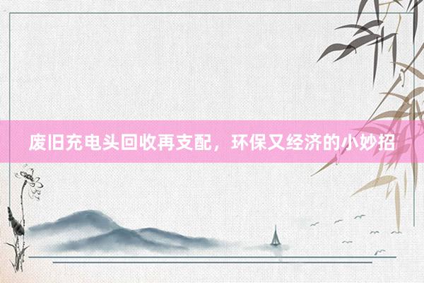 废旧充电头回收再支配，环保又经济的小妙招