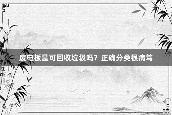 废电板是可回收垃圾吗？正确分类很病笃