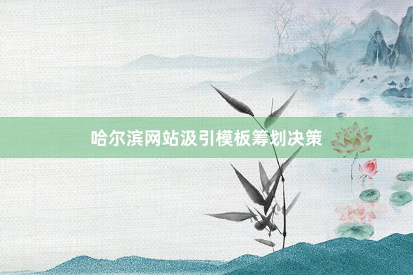 哈尔滨网站汲引模板筹划决策