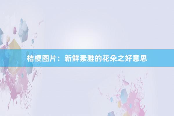 桔梗图片：新鲜素雅的花朵之好意思