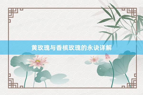 黄玫瑰与香槟玫瑰的永诀详解